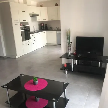 Charmante Maisonnette T2bis Plaine De * 卡伦扎纳